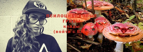 прущая мука Кодинск