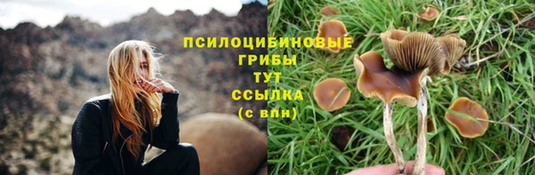 ALPHA PVP Козловка