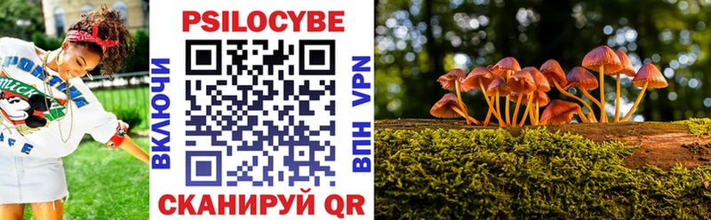 Купить закладки  Балашиха  Псилоцибиновые грибы Psilocybe 